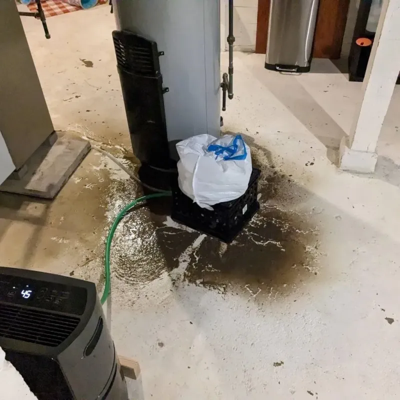 Sewage Backup Cleanup Service in Tularosa, NM